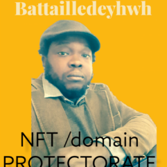 NFT DOMAINS / VIRTUAL ASSETS